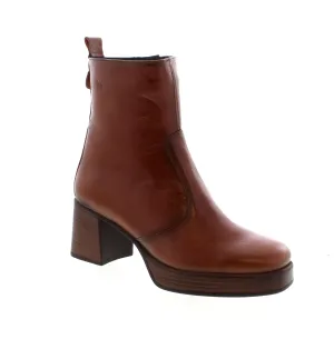 Dorking Cristel D9157 - Brown