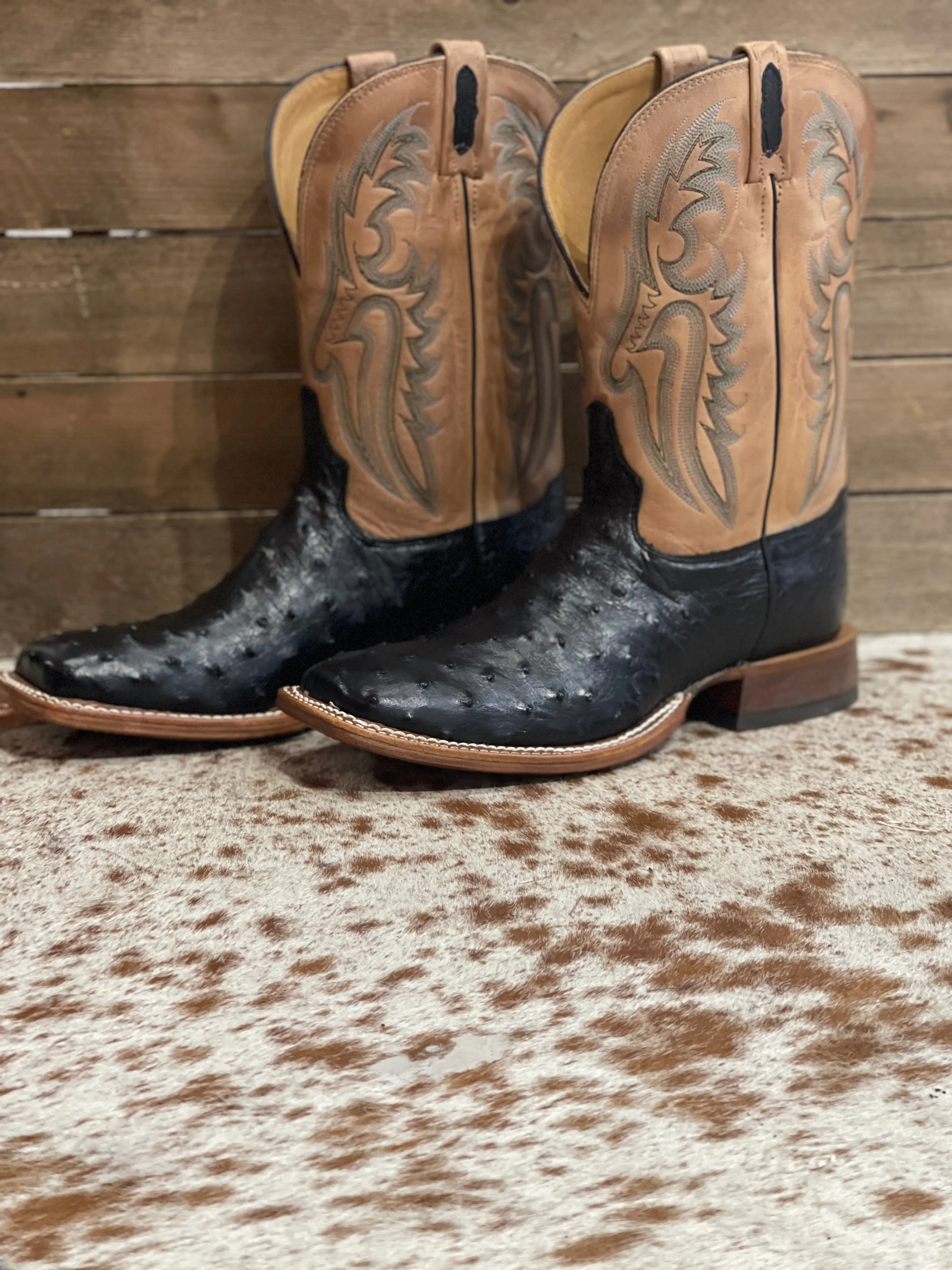 Tony Lama Castillo Black Full Quill Ostrich